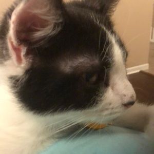 Meet your Posher, Jackis